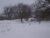 Photo Number 4