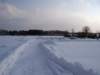 Photo Number 7