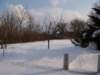 Photo Number 9