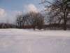 Photo Number 13