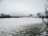Photo Number 6