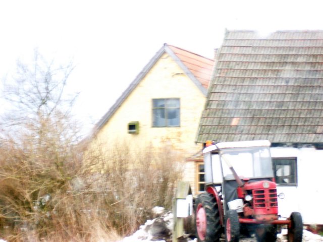 Photograph