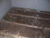 Photo Number 6