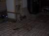 Photo Number 13